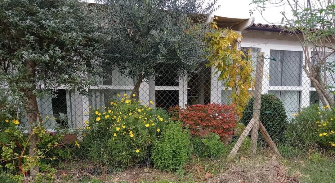 La Casa Di Tara B&B Armonia E Natura Recanati Exterior photo
