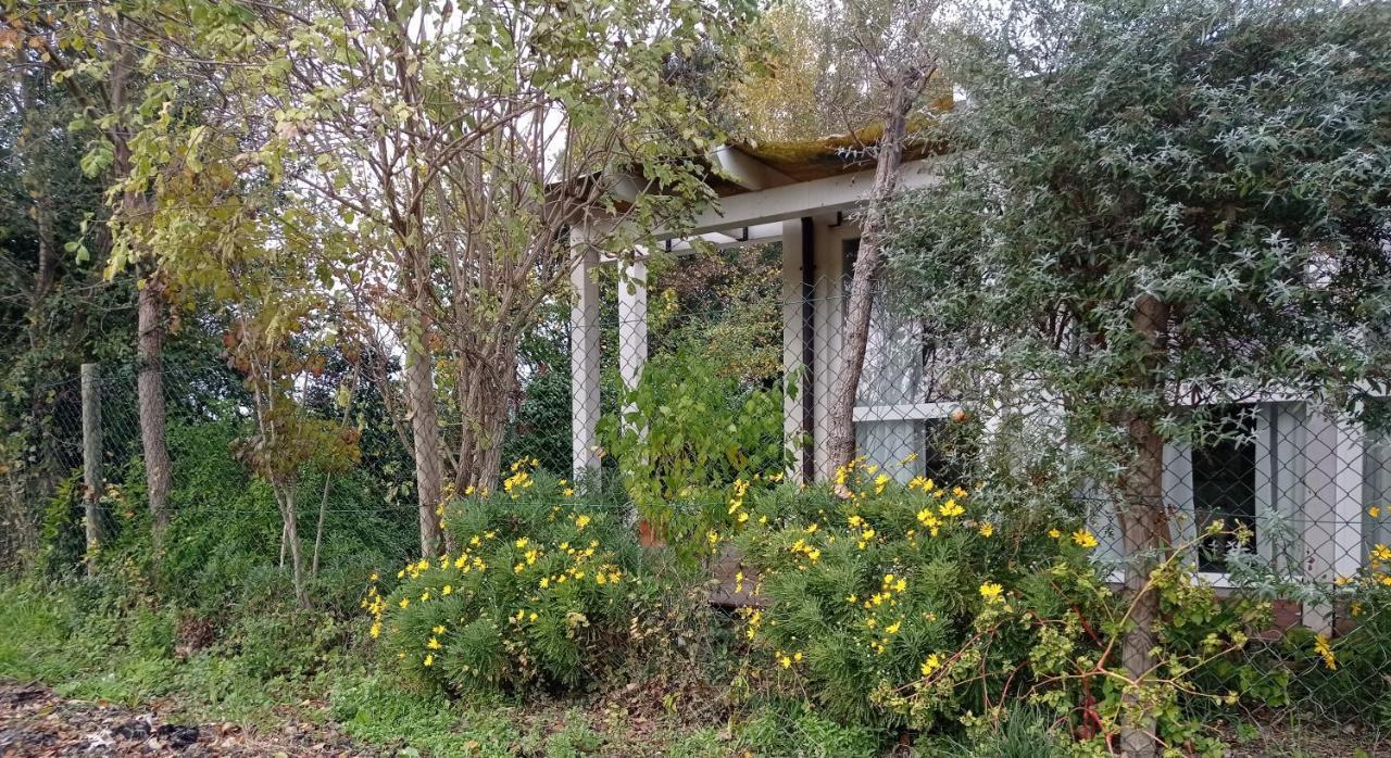 La Casa Di Tara B&B Armonia E Natura Recanati Exterior photo