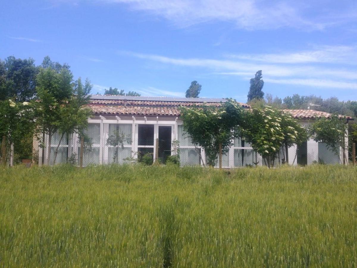 La Casa Di Tara B&B Armonia E Natura Recanati Exterior photo