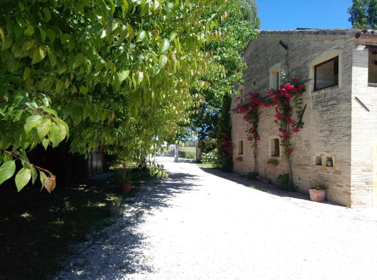 La Casa Di Tara B&B Armonia E Natura Recanati Exterior photo